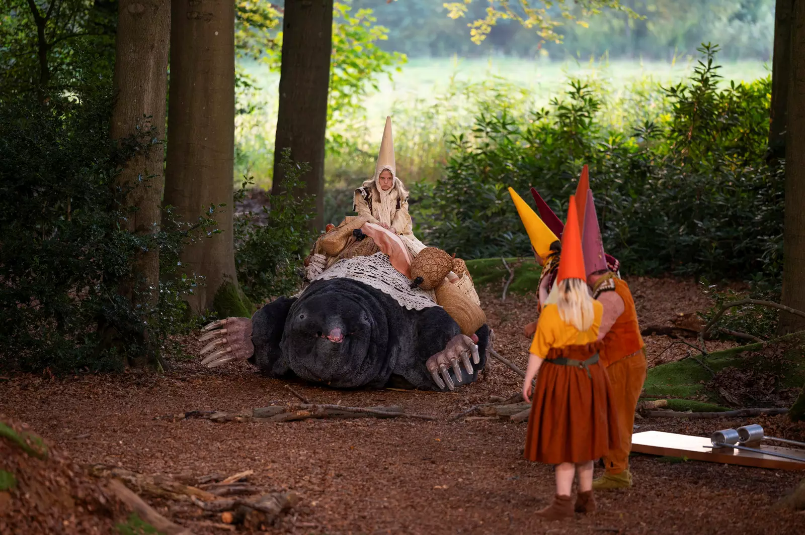 Het Houten Huis - Voor ze verdwijnen
