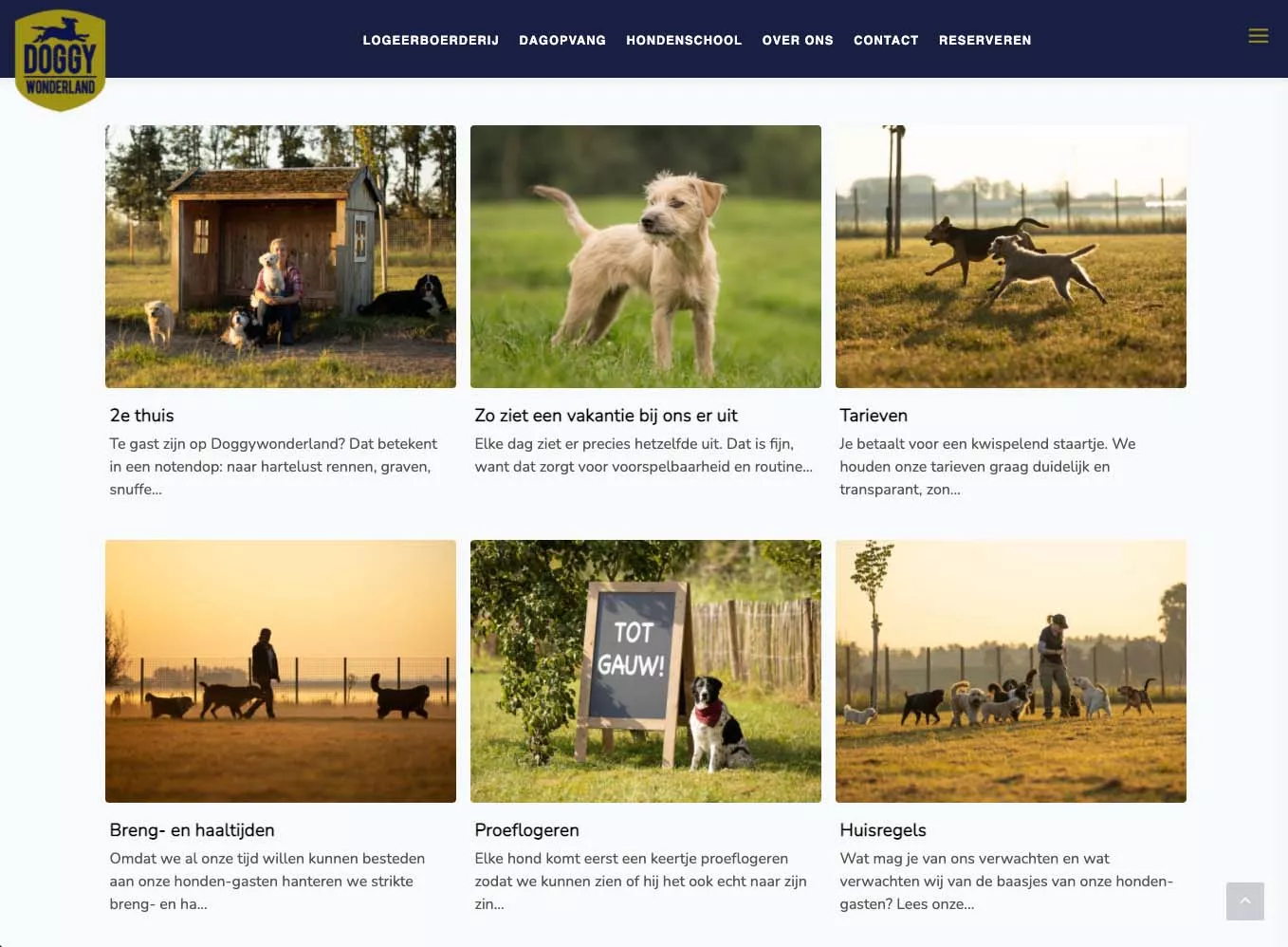 Doggywonderland Website