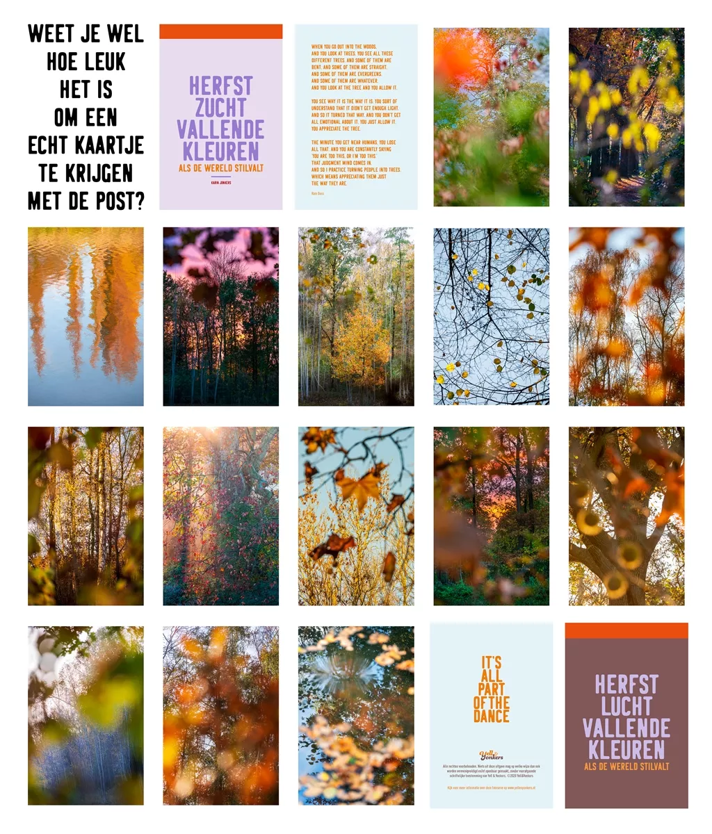 Contactsheet Herfst